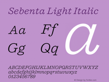 Sebenta Light Italic Version 1.000;FEAKit 1.0图片样张