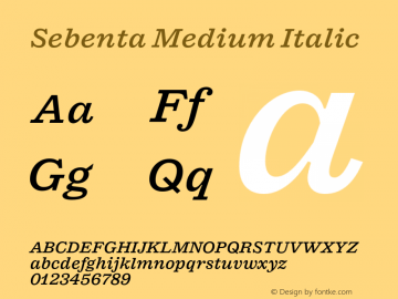 Sebenta Medium Italic Version 1.000;FEAKit 1.0图片样张