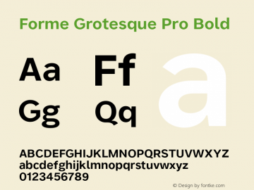 Forme Grotesque Pro Bold Version 1.001图片样张