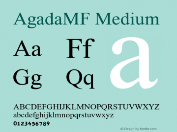 AgadaMF-Medium Version 2.000图片样张