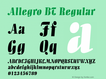Allegro BT Version 1.01 emb4-OT图片样张