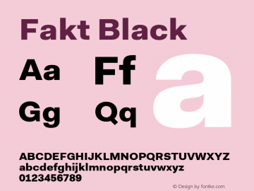 Fakt Black Version 4.001; build 0006图片样张
