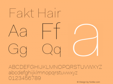 Fakt Hair Version 4.001; build 0006图片样张