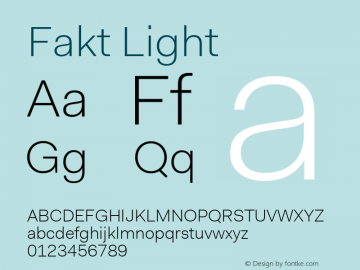 Fakt Light Version 4.001; build 0006图片样张