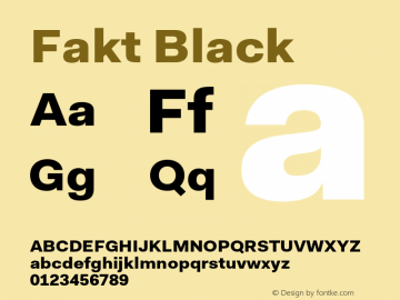 Fakt-Black Version 4.001; build 0006图片样张