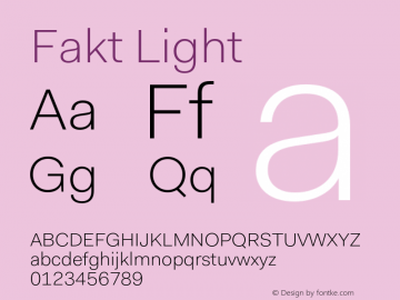 Fakt-Light Version 4.001; build 0006图片样张