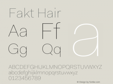 Fakt-Hair Version 4.001; build 0006图片样张