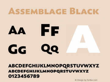 Assemblage-Black Version 1.000;PS 001.000;hotconv 1.0.88;makeotf.lib2.5.64775图片样张