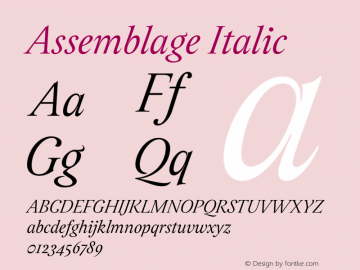 Assemblage-Italic Version 1.000;PS 001.000;hotconv 1.0.88;makeotf.lib2.5.64775图片样张