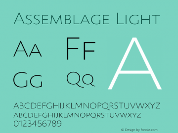 Assemblage-Light Version 1.000;PS 001.000;hotconv 1.0.88;makeotf.lib2.5.64775图片样张