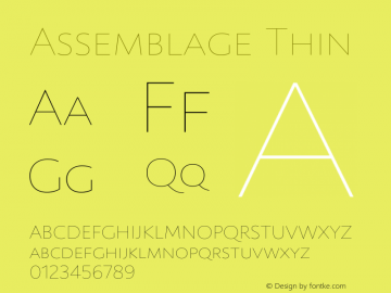 Assemblage-Thin Version 1.000;PS 001.000;hotconv 1.0.88;makeotf.lib2.5.64775图片样张
