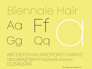 Biennale Hair Version 1.001;hotconv 1.0.109;makeotfexe 2.5.65596图片样张