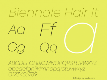 Biennale Hair It Version 1.001;hotconv 1.0.109;makeotfexe 2.5.65596图片样张