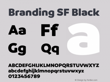 Branding SF Black Version 1.000;hotconv 1.0.109;makeotfexe 2.5.65596图片样张