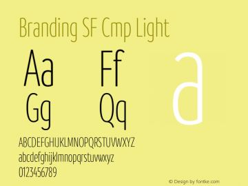 Branding SF Cmp Light Version 1.000;hotconv 1.0.109;makeotfexe 2.5.65596图片样张