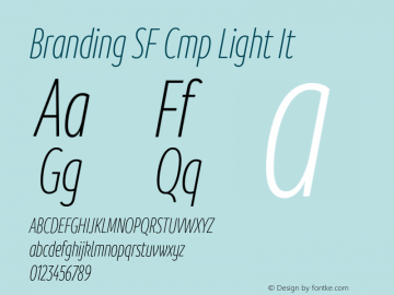 Branding SF Cmp Light It Version 1.000;hotconv 1.0.109;makeotfexe 2.5.65596图片样张