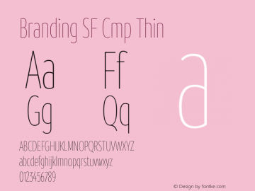 Branding SF Cmp Thin Version 1.000;hotconv 1.0.109;makeotfexe 2.5.65596图片样张