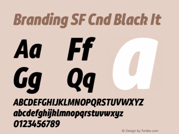 Branding SF Cnd Black It Version 1.000;hotconv 1.0.109;makeotfexe 2.5.65596图片样张