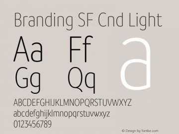 Branding SF Cnd Light Version 1.000;hotconv 1.0.109;makeotfexe 2.5.65596图片样张