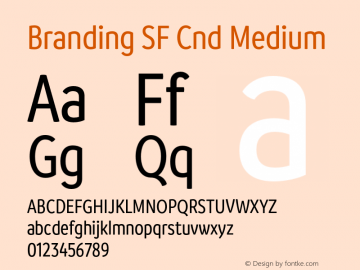 Branding SF Cnd Medium Version 1.000;hotconv 1.0.109;makeotfexe 2.5.65596图片样张