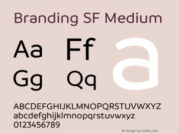 Branding SF Medium Version 1.000;hotconv 1.0.109;makeotfexe 2.5.65596图片样张