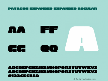 PatagonExpanded-ExpandedRegular Version 1.000图片样张