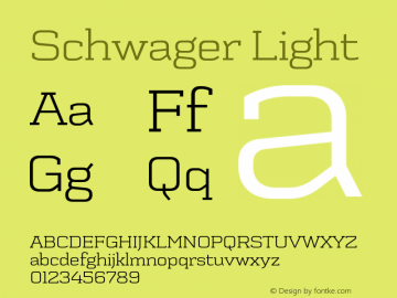 SchwagerLight Version 001.001图片样张