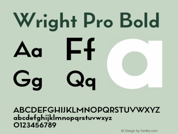 Wright Pro Bold Version 1.000;hotconv 1.0.109;makeotfexe 2.5.65596图片样张