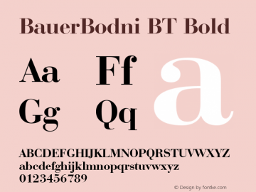 BauerBodni BT Bold Version 1.01 emb4-OT图片样张