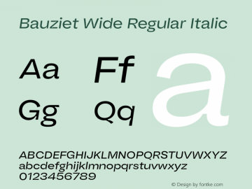 Bauziet Wide Regular Italic Version 1.000;hotconv 1.0.109;makeotfexe 2.5.65596图片样张