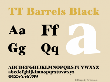 TT Barrels Black Version 1.010.27102021图片样张