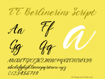 TT Berlinerins Script Version 1.010.16112020图片样张