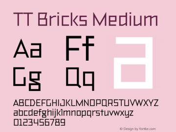 TT Bricks Medium Version 1.010图片样张