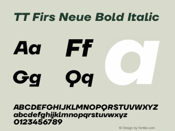 TT Firs Neue Bold Italic Version 1.100图片样张