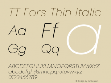 TT Fors Thin Italic 1.000.06042021图片样张