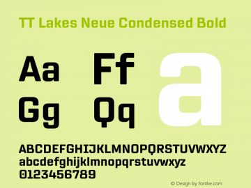 TT Lakes Neue Condensed Bold Version 1.100.14042021图片样张