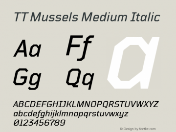 TT Mussels Medium Italic Version 1.010.17122020图片样张