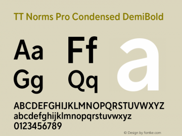 TT Norms Pro Condensed DemiBold Version 3.000.12072021图片样张