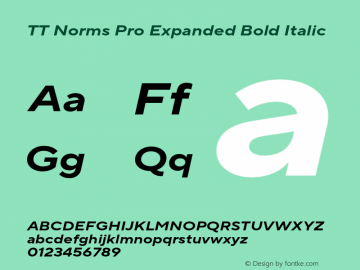 TT Norms Pro Expanded Bold Italic Version 3.000.12072021图片样张