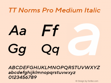 TT Norms Pro Medium Italic Version 3.000.12072021图片样张