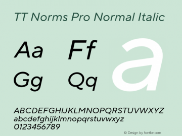 TT Norms Pro Normal Italic Version 3.000.12072021图片样张