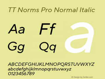 TT Norms Pro Normal Italic Version 3.000.12072021图片样张