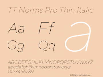 TT Norms Pro Thin Italic Version 3.000.12072021图片样张