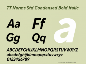 TT Norms Std Condensed Bold Italic Version 1.000.09042020图片样张