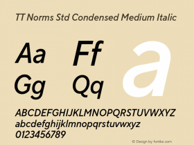 TT Norms Std Condensed Medium Italic Version 1.000.09042020图片样张