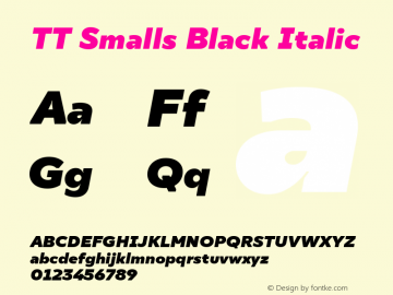 TT Smalls Black Italic Version 1.000图片样张