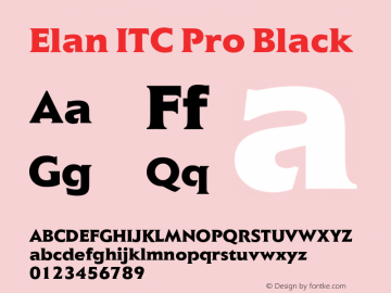 ElanITCPro-Black Version 1.00; 2007图片样张