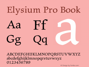 ElysiumPro-Book Version 1.00; 2007图片样张