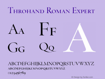 Throhand Roman Expert Version 1.000图片样张