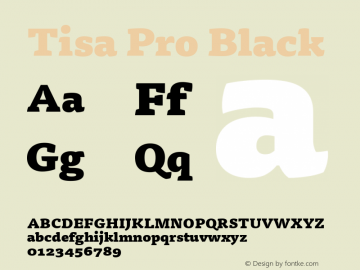 Tisa Pro Black Version 7.600, build 1027, FoPs, FL 5.04图片样张